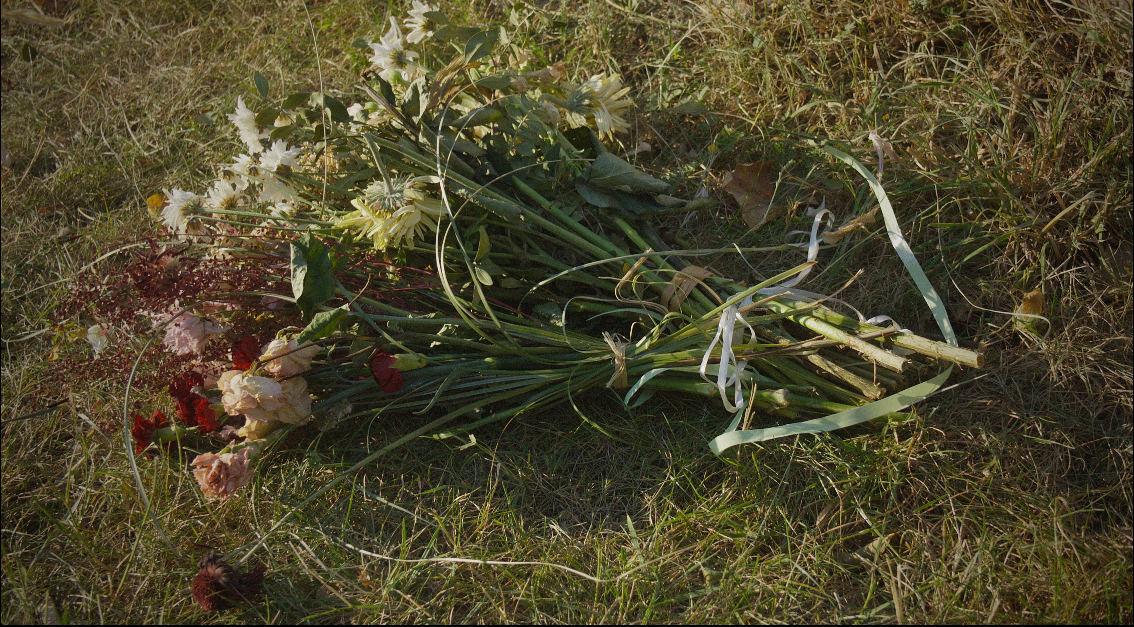 Flower or the art of the end